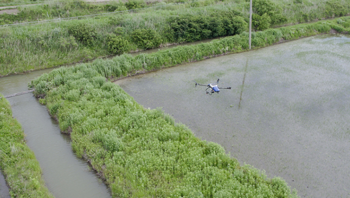 흑룡강성 | 쌀농사, 1가구 1기계 농업의 새 시대를 열다