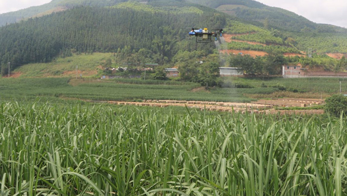 EAvision 지능형 농업용 드론은 사탕수수 비행 방지에 놀라운 효과를 발휘합니다!